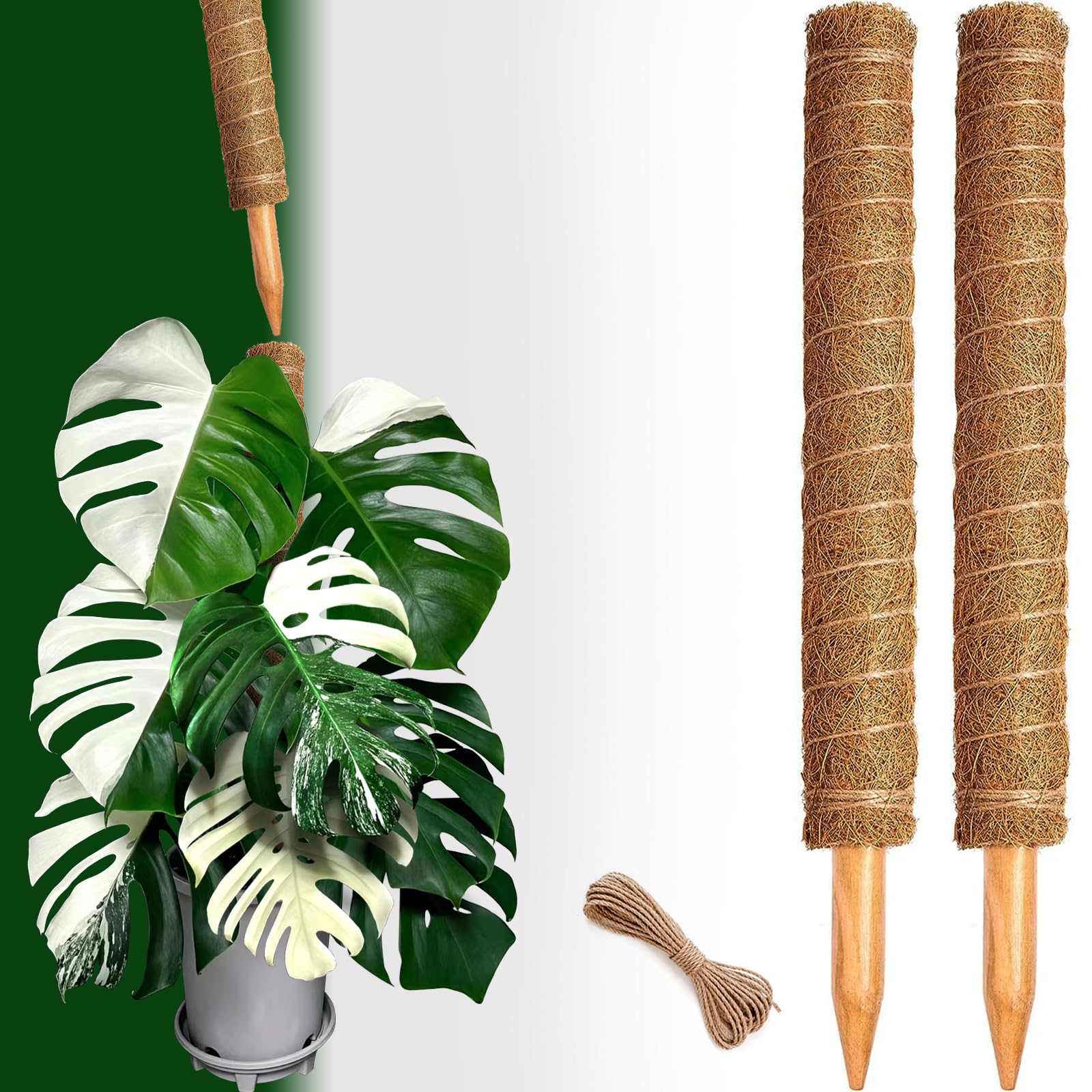 CHIAFFI indoor-outdoor plant support keeps vines tall and tidy.