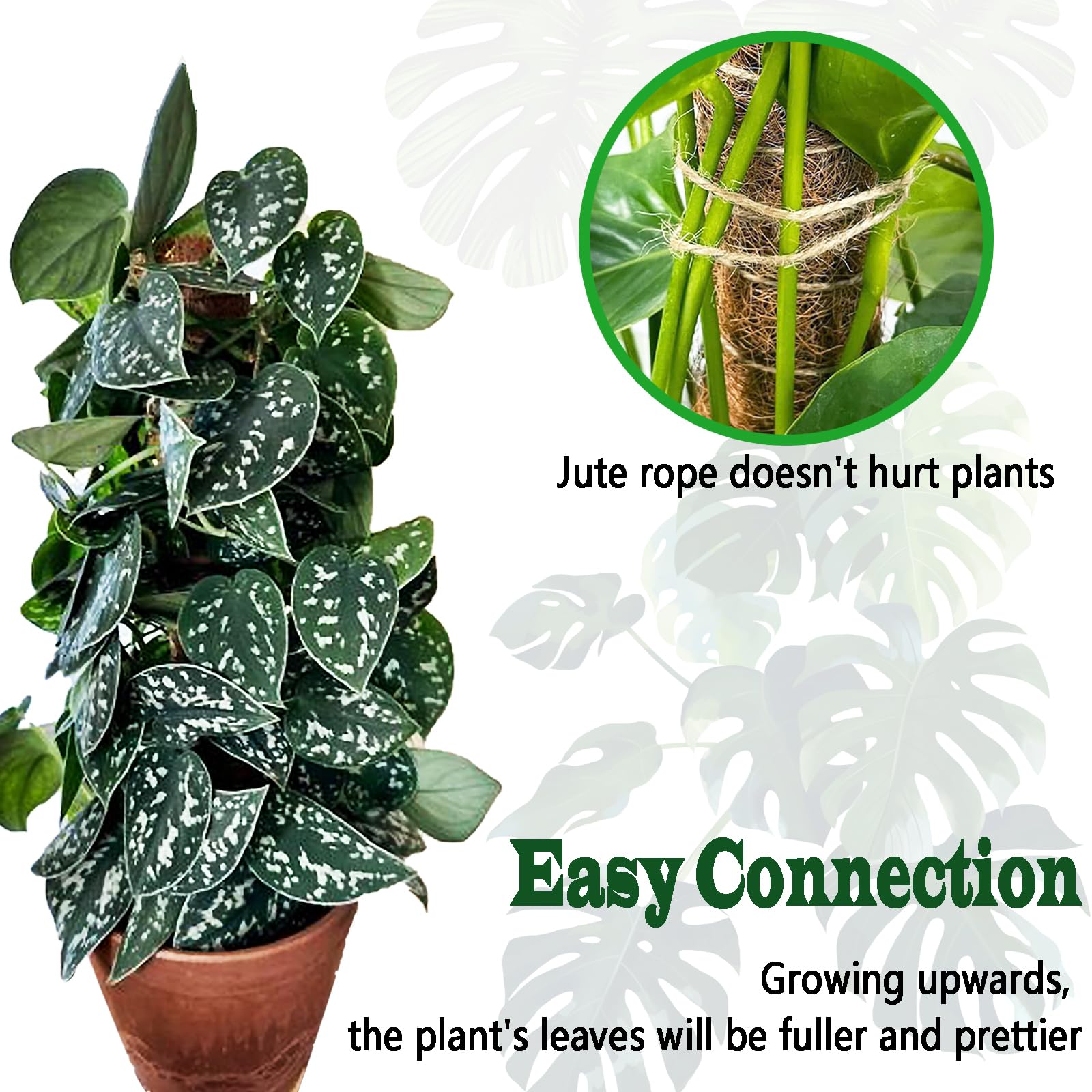 Chiaffi coconut coir material offers sustainable grip for aerial roots.
