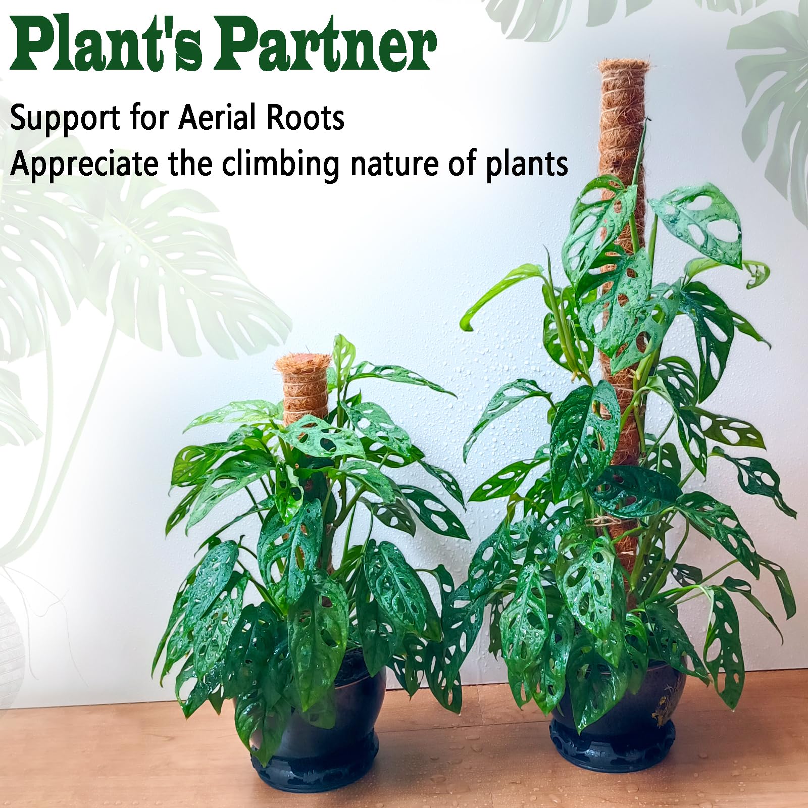 Chiaffi moss pole indoor plant setup boosts vertical greenery.