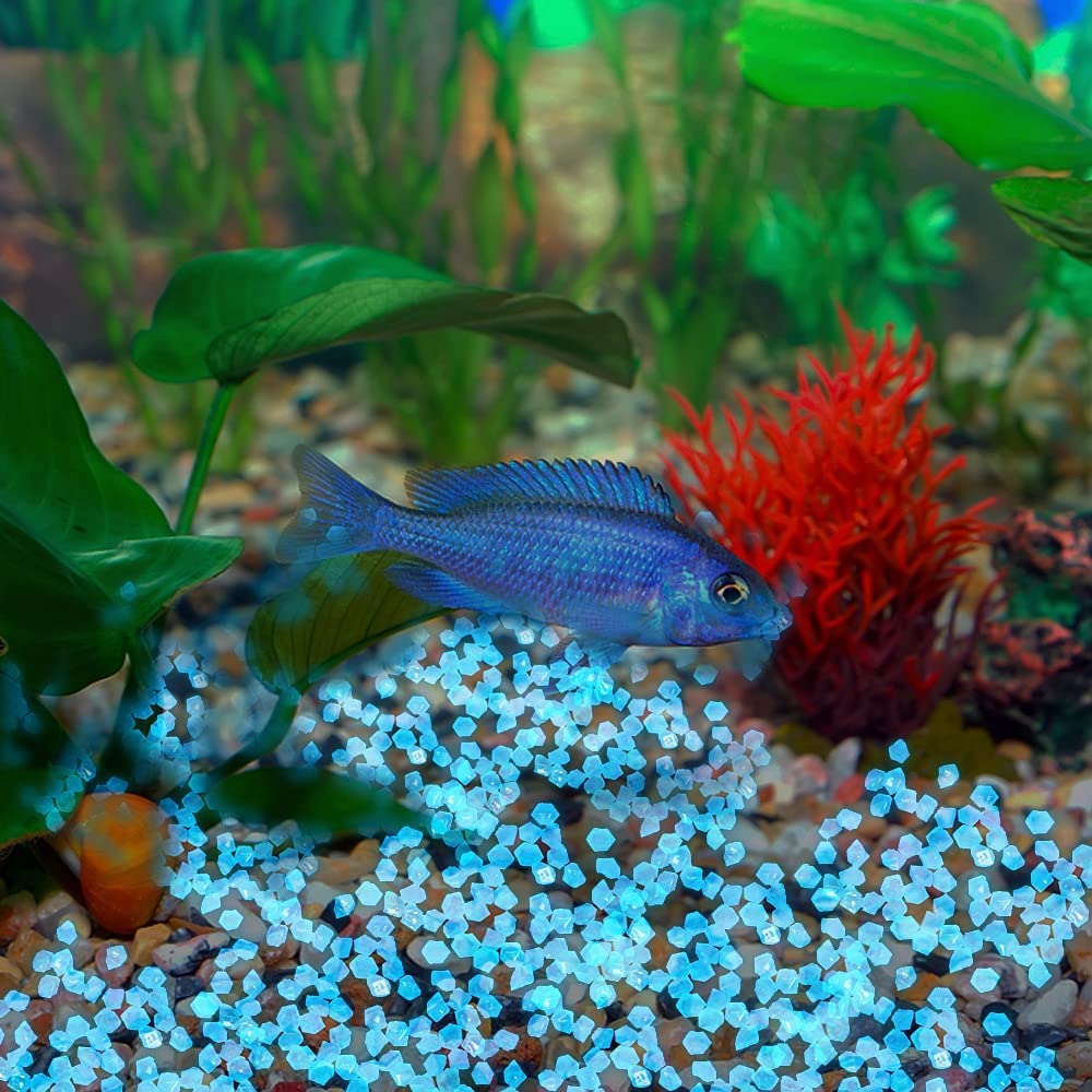 Chic Style glow stones provide garden path lighting with subtle blue glow.