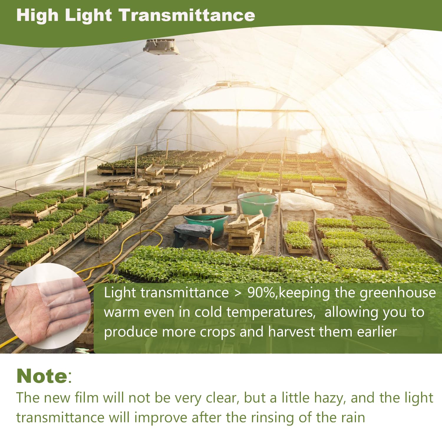 Chicarry anti-drip greenhouse film minimizes water droplets to protect leaves.