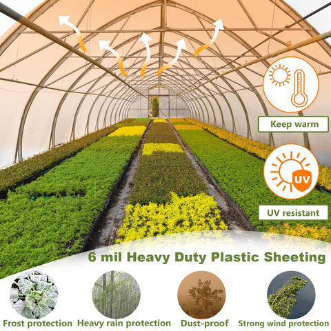 Chicarry anti-drip surface reduces droplets and leaf splash