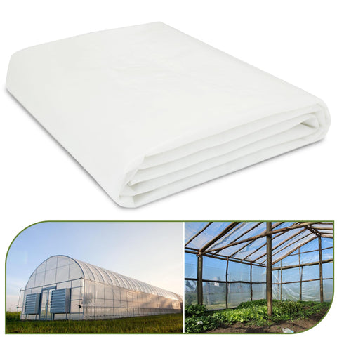 Chicarry greenhouse film 8x25 clear 6mil for improved light transmission.