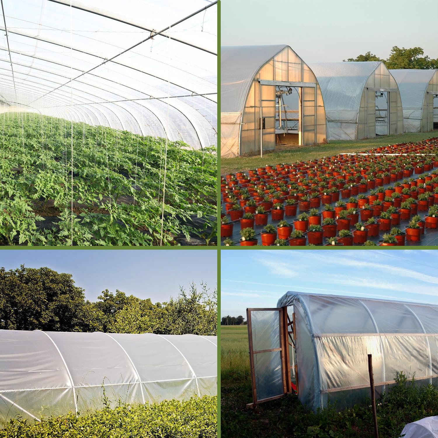 Chicarry heavy-duty greenhouse cover protects from heat, frost, and wind.