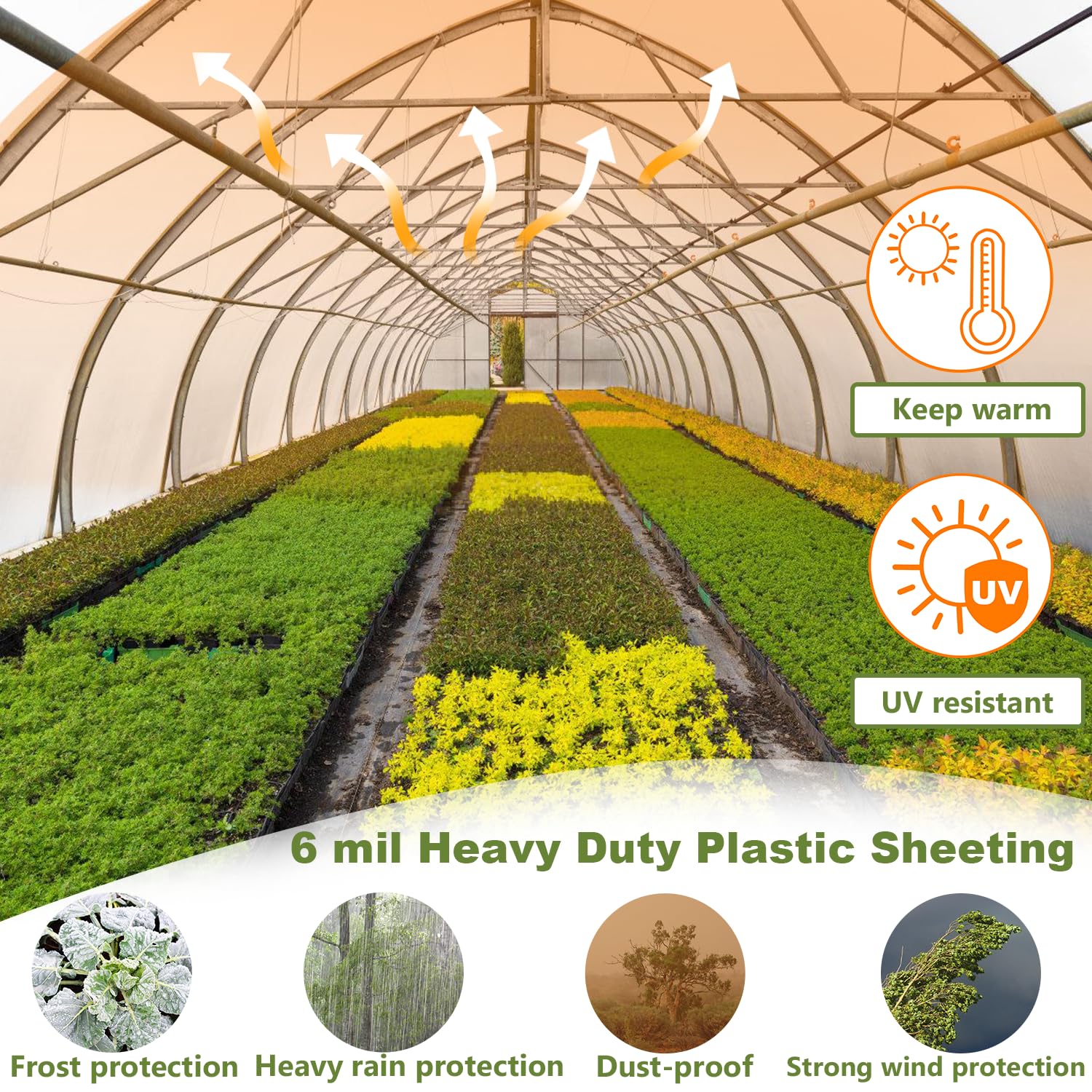 Chicarry high light transmittance film evenly distributes daylight.
