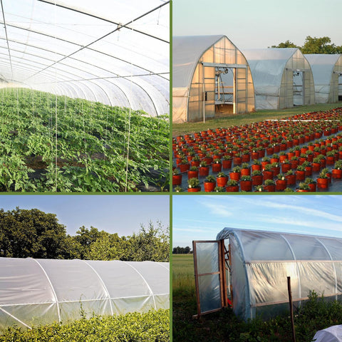 Chicarry heavy-duty plastic sheeting for crops and equipment