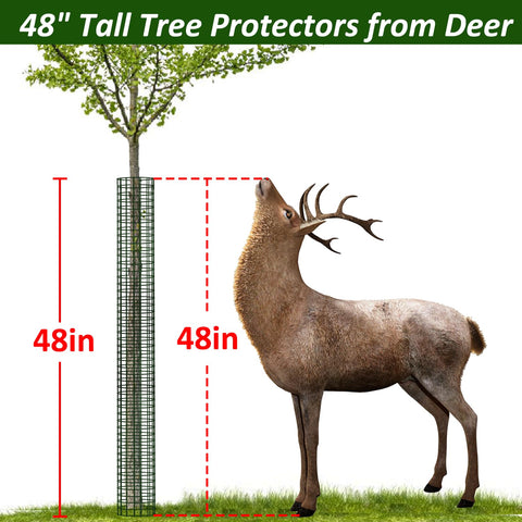 Chicarry metal tree guards installed with zip ties for secure mounting