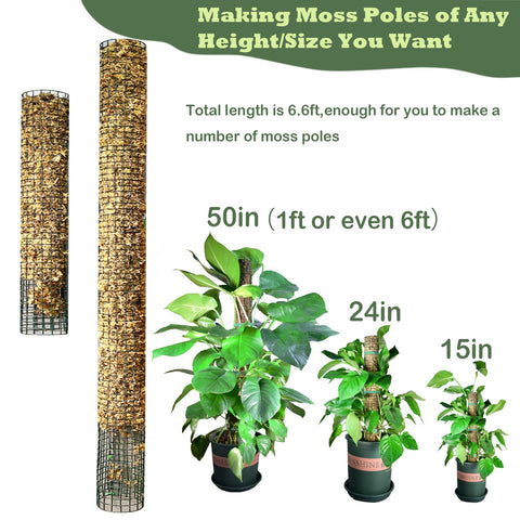 Chicarry Moss Pole DIY Kit garden ties secure climbers efficiently.