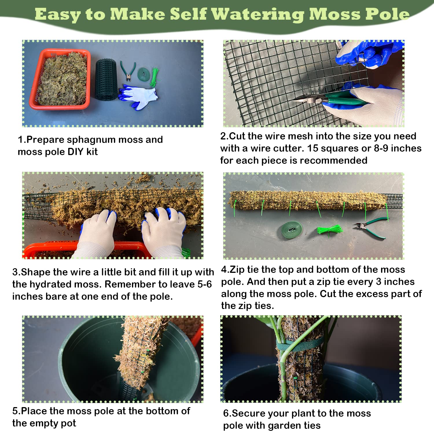 Chicarry Moss Pole DIY Setup in action demonstrates simple assembly.