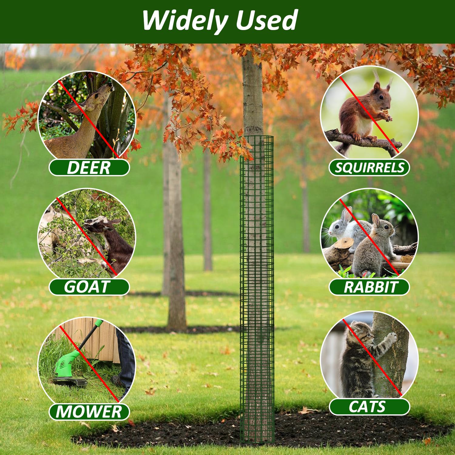 Chicarry trunk guards shielding a young tree from deer and lawn equipment