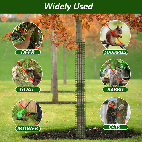 Chicarry trunk guards shielding a young tree from deer and lawn equipment