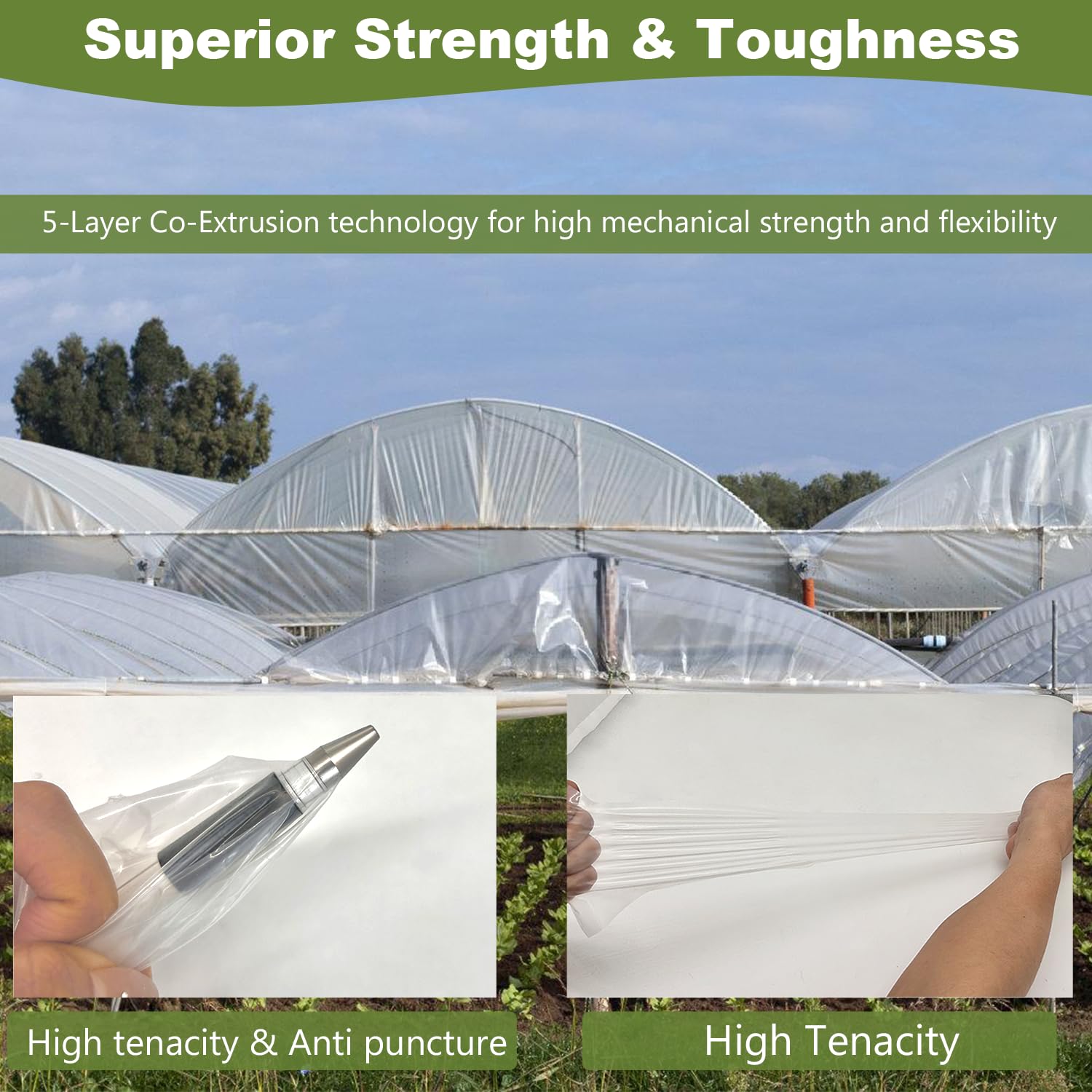 Chicarry UV-resistant greenhouse film protects plants from strong sun.
