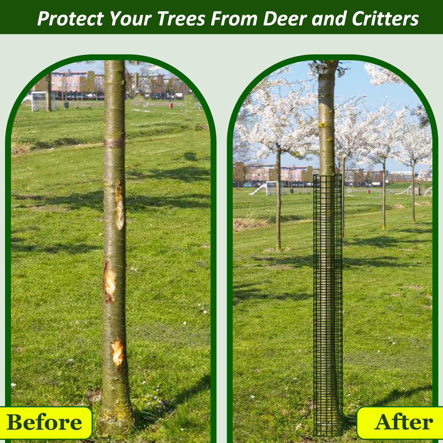 Chicarry vinyl-coated mesh protects tree bark from wildlife