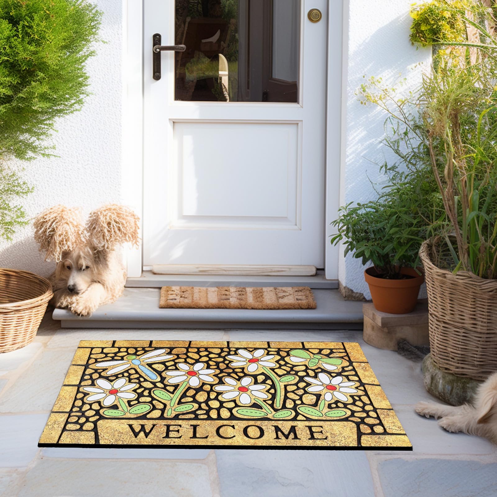 CHICHIC pet-friendly entry mat provides tidy space near doors.