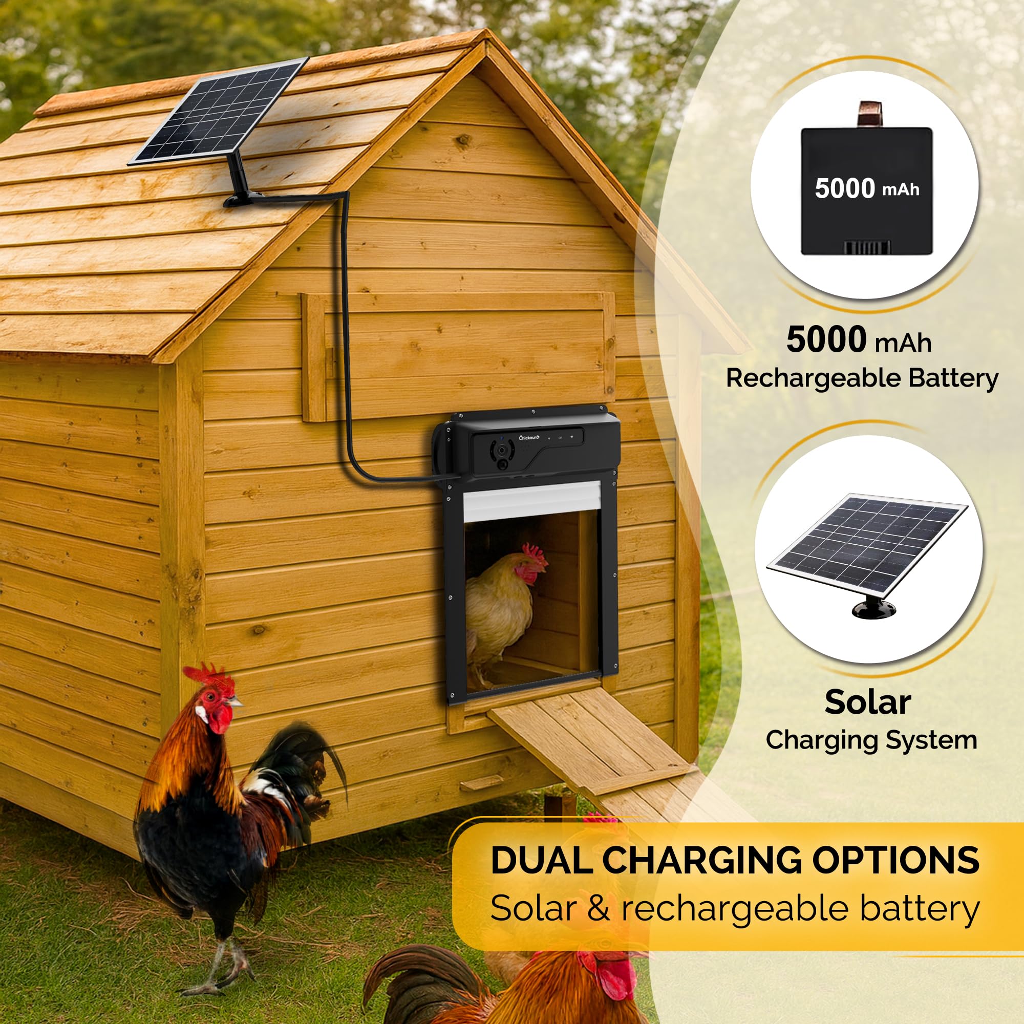 Chickaura 5000mAh battery with solar charging for day and night operation