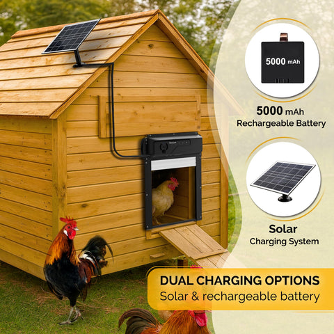 Chickaura 5000mAh battery with solar charging for day and night operation