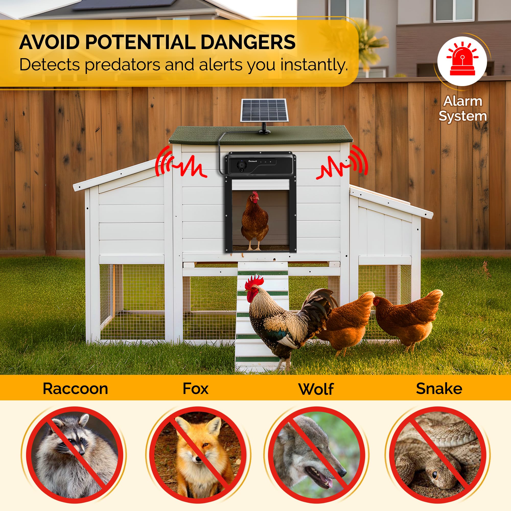 Chickaura coop door HD camera with night vision for clear monitoring