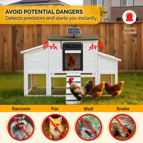 Chickaura coop door HD camera with night vision for clear monitoring