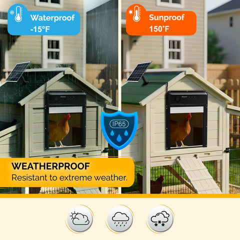 Chickaura smart timer controls door schedules automatically