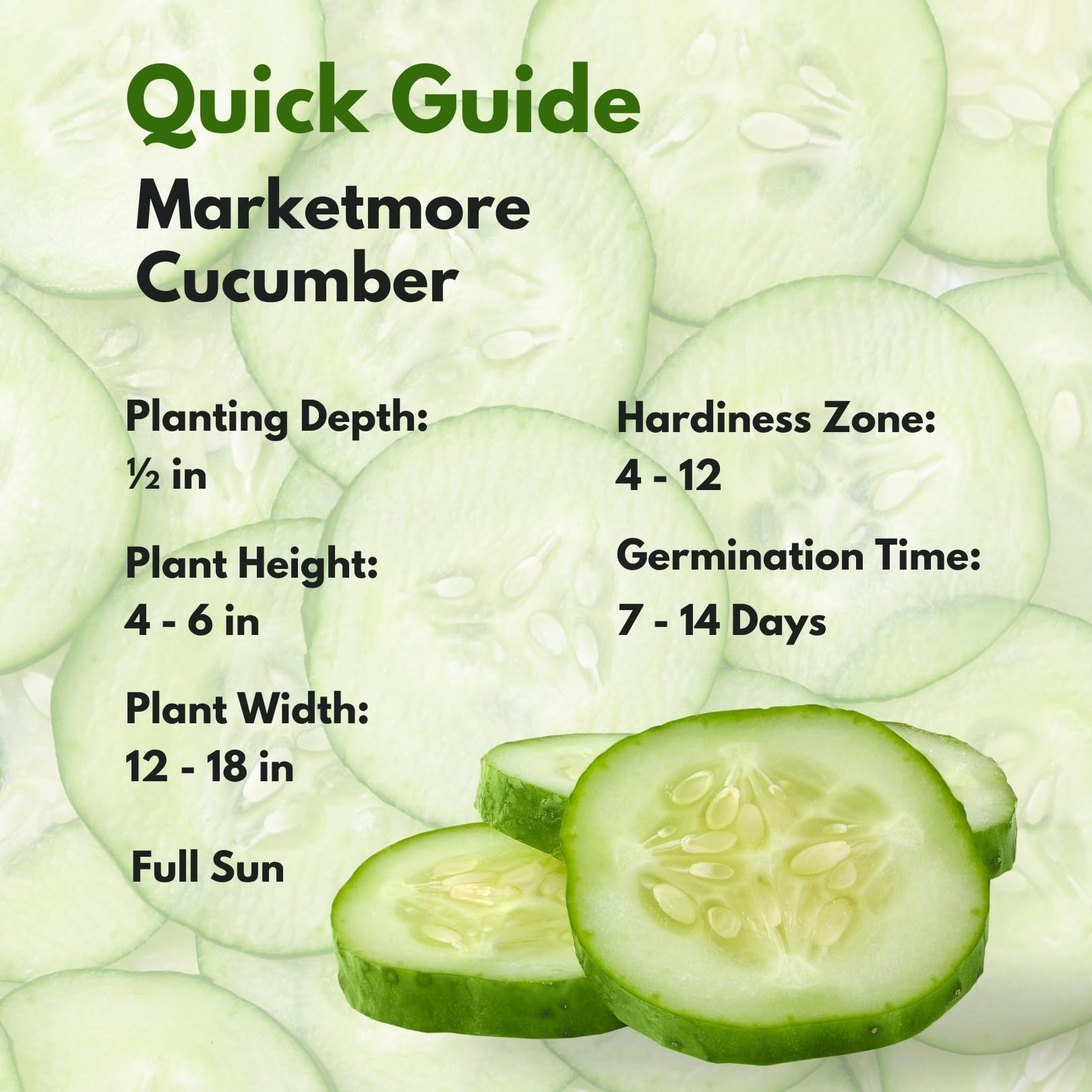Chickco Marketmore seed closeup highlighting high-germination heirloom seeds.