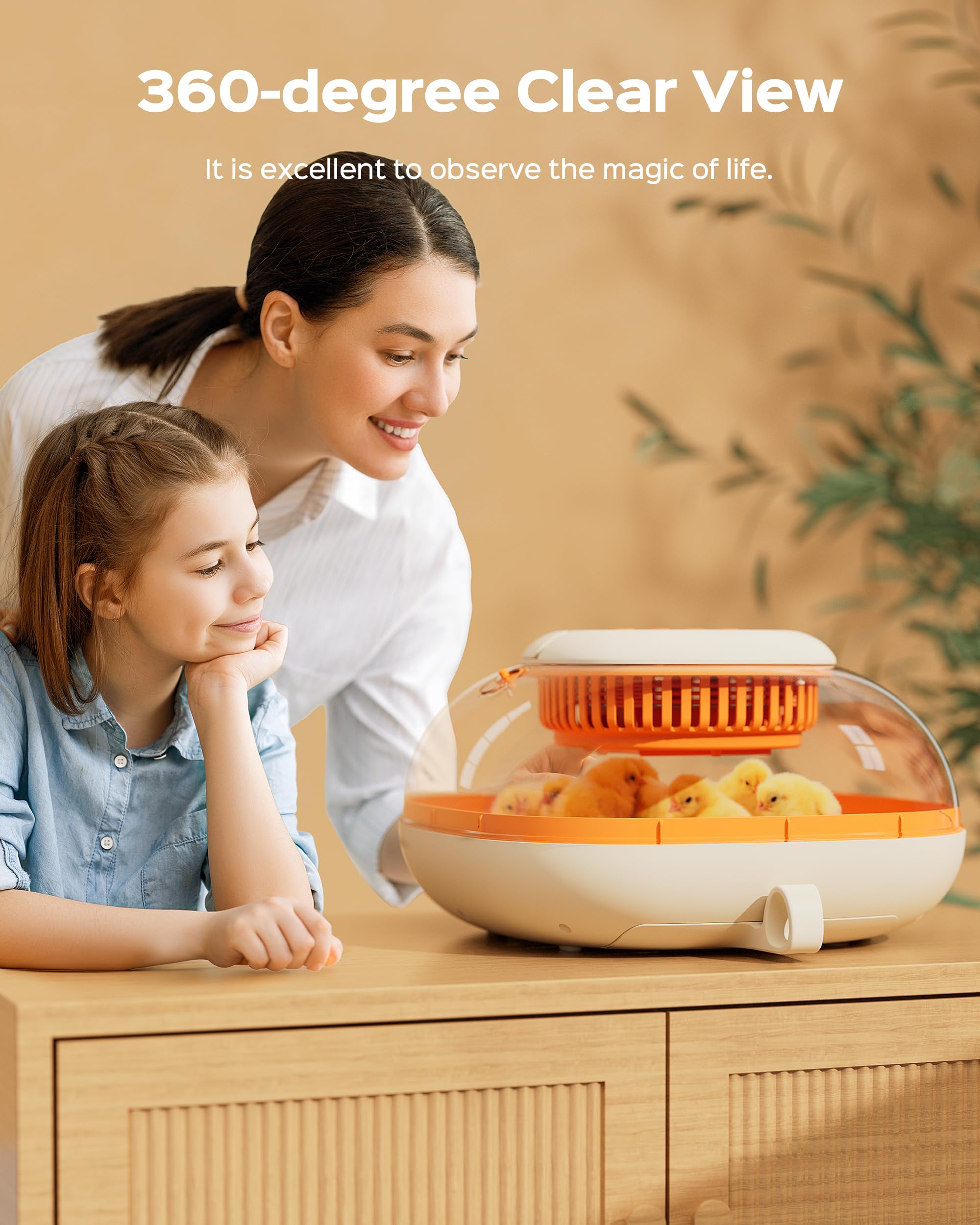 Chickcozy 360-degree view window lets you monitor hatch progress from any angle.