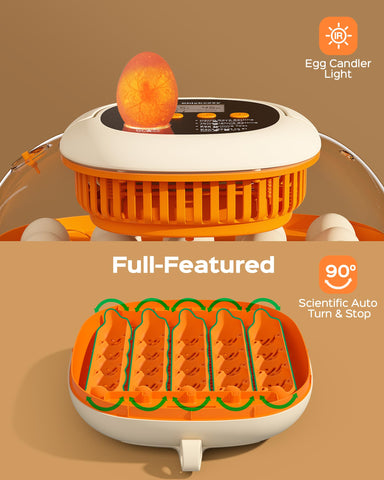 Chickcozy built-in egg candler enables quick checks of embryo progression.