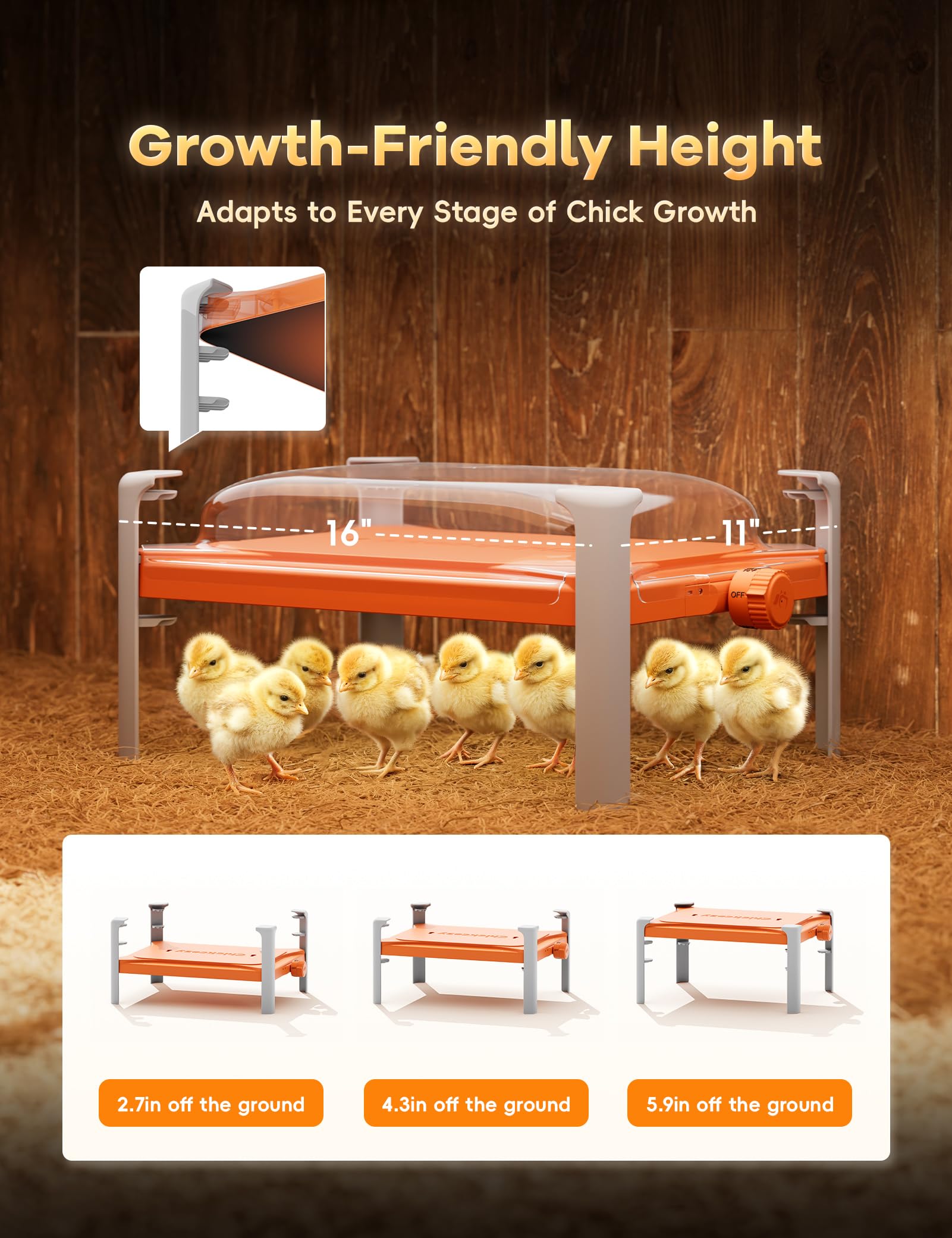 Chickcozy compact assembly demonstrates quick setup with no extra tools