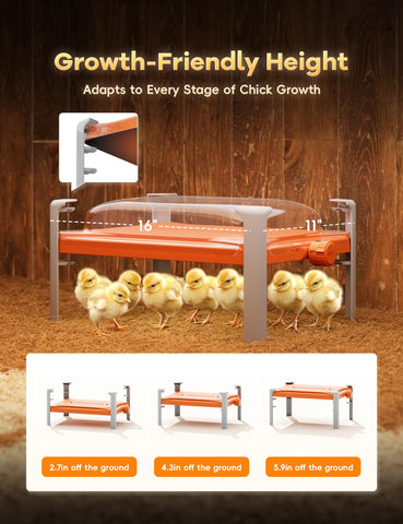 Chickcozy compact assembly demonstrates quick setup with no extra tools