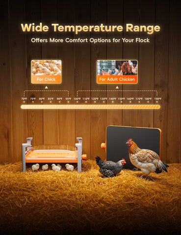 Chickcozy coop wall-mount setup saves space and warms the coop