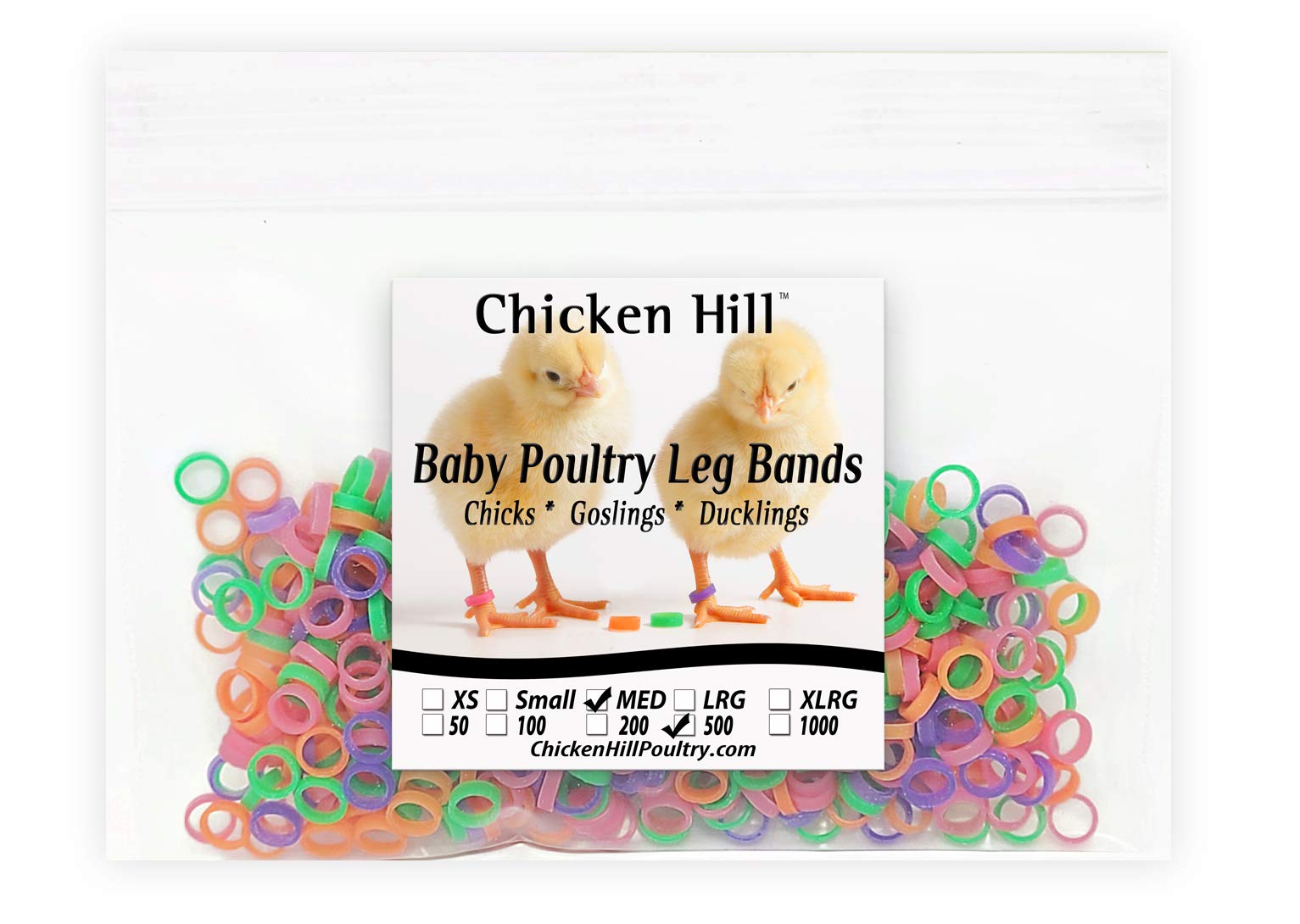 Chicken Hill baby poultry leg bands 1/4 inch on a chick for easy breed identification.