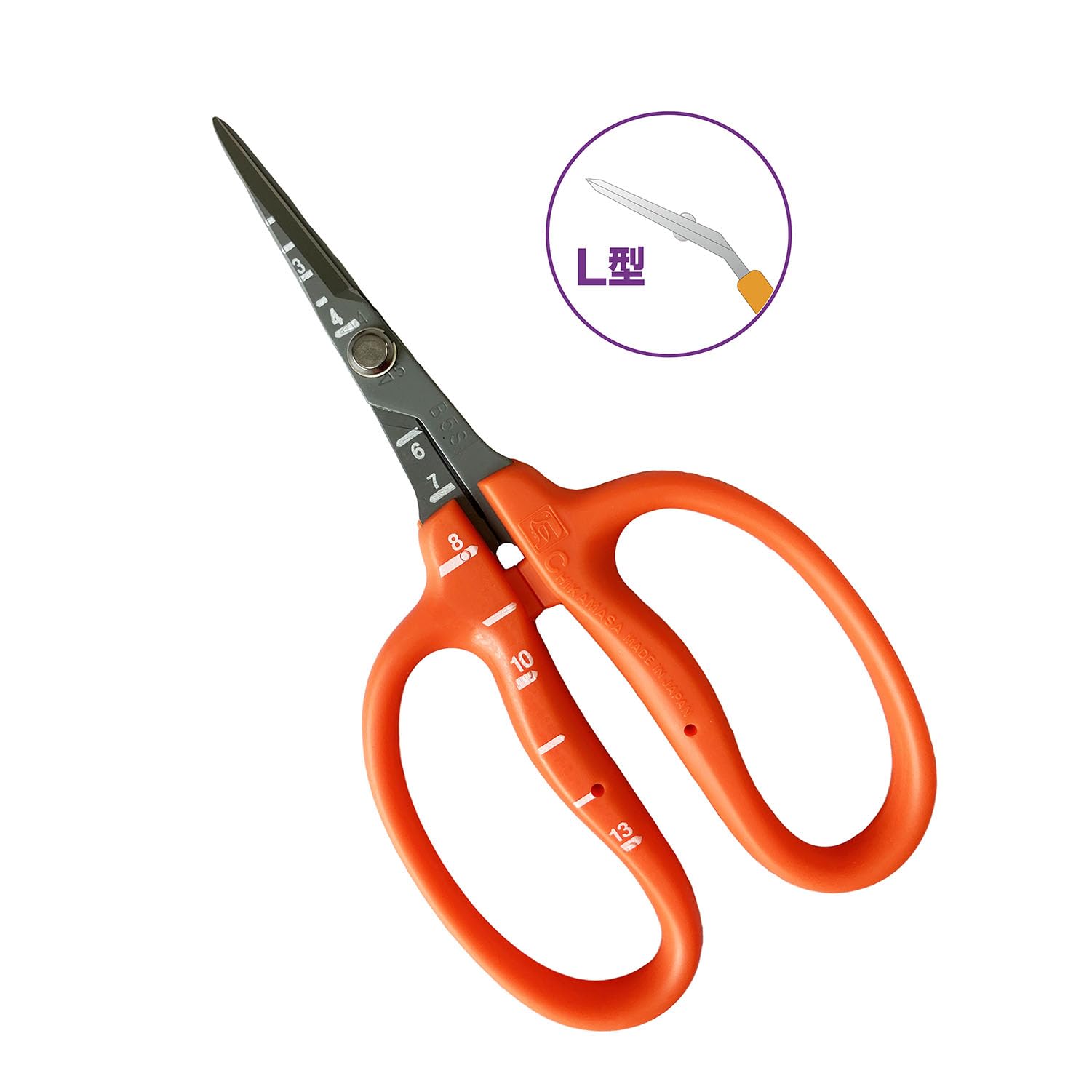 Chikamasa B500SLF blade close-up showing stainless steel durability.