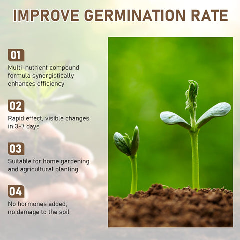 Chinosuo roots developing with activator for healthier growth