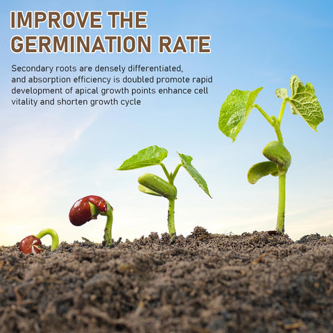 Chinosuo soil activator dissolving in water to feed roots