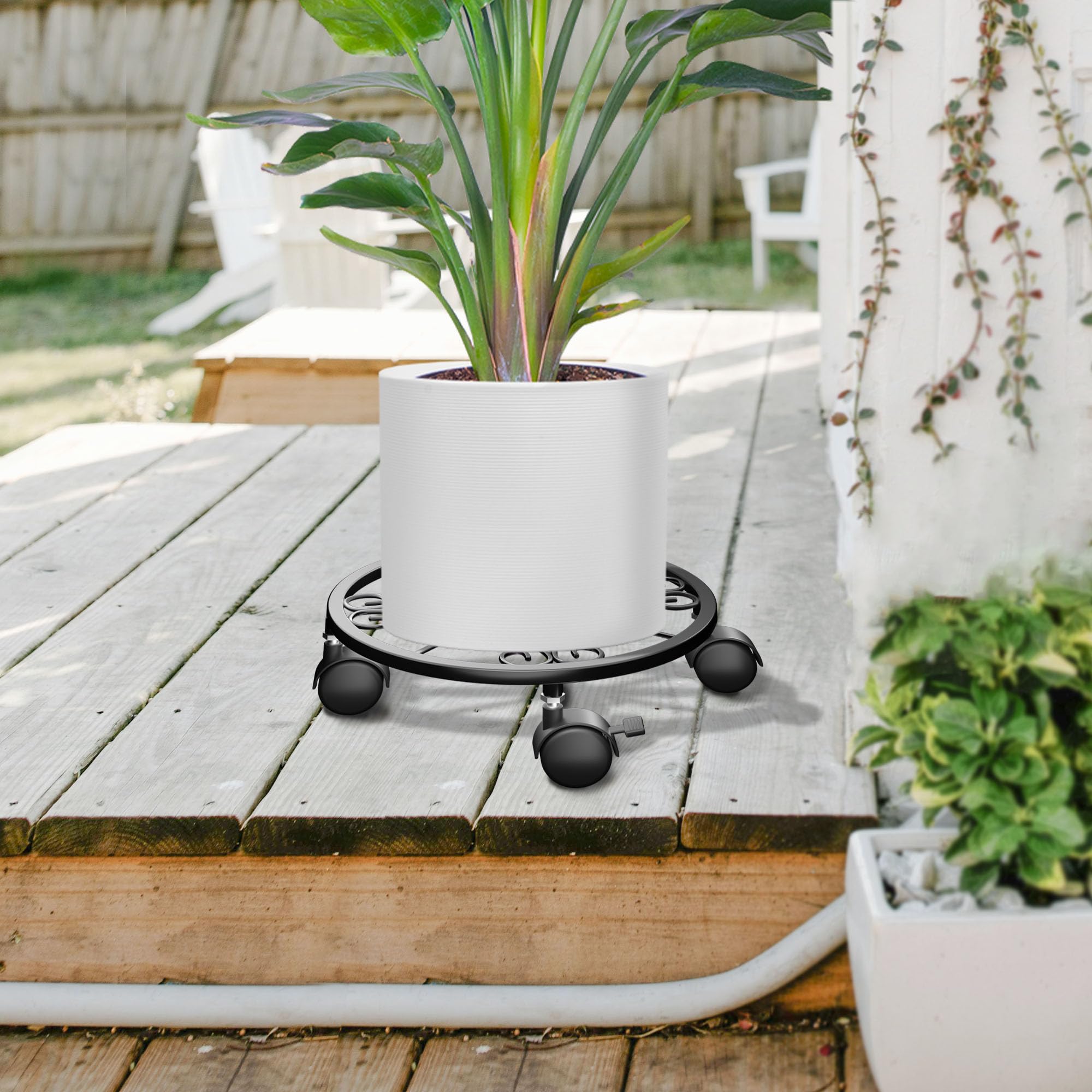Chinpakden locking caster wheels on a plant dolly for precise placement