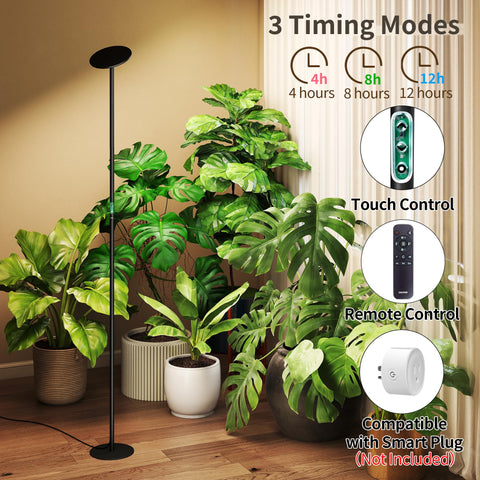 Chiphy remote and timer provide hands-free scheduling for plant care.