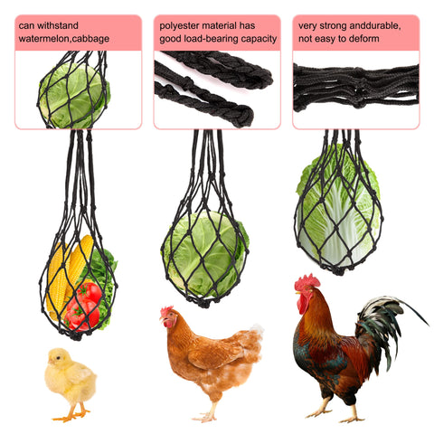 CHNB chicken fruit rack provides easy, visible snack access
