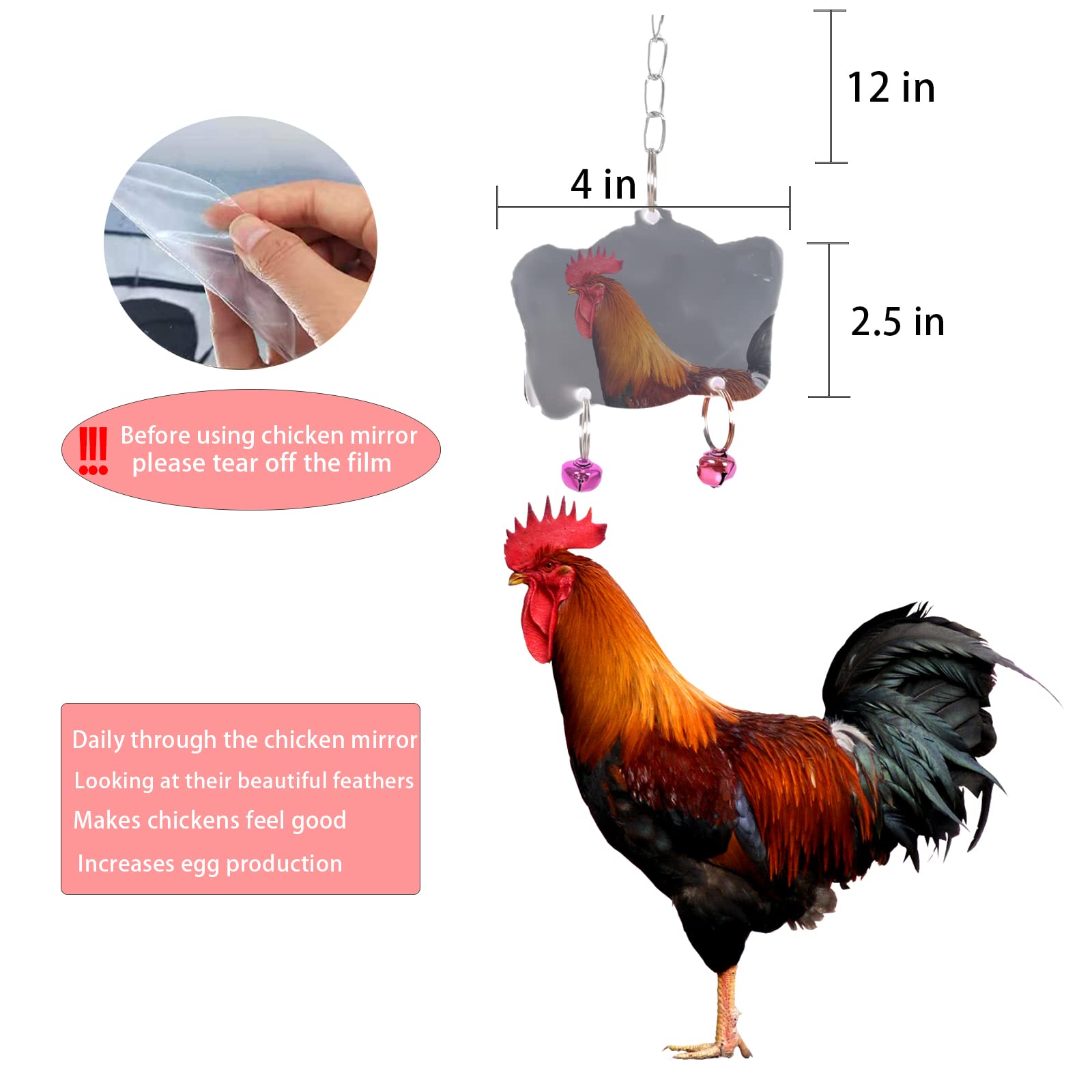 CHNB chicken toys pack complete enrichment for coop or aviary