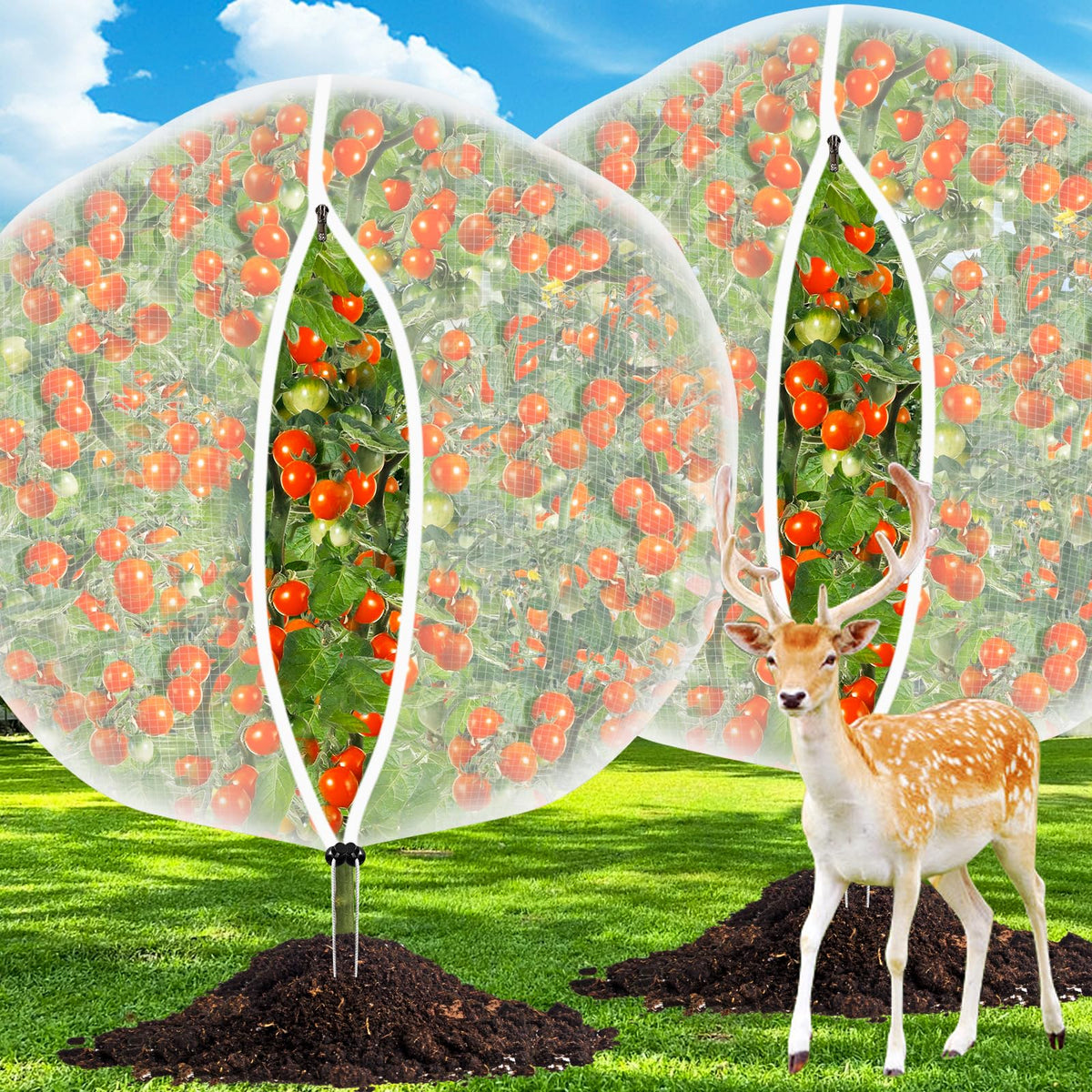CHNENOMME 6ft-6ft fruit netting covers plants to deter pests and birds.
