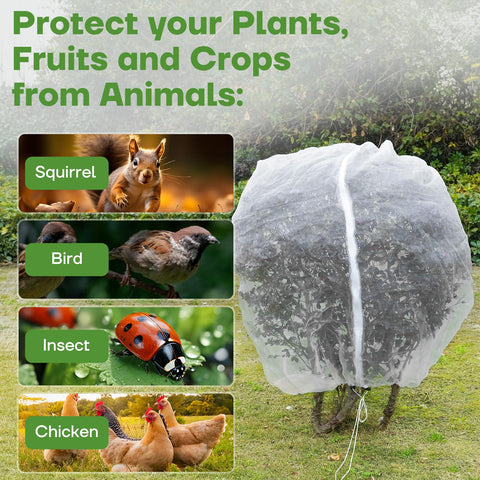 CHNENOMME protects tomatoes, blueberries, citrus, and shrubs from pests.