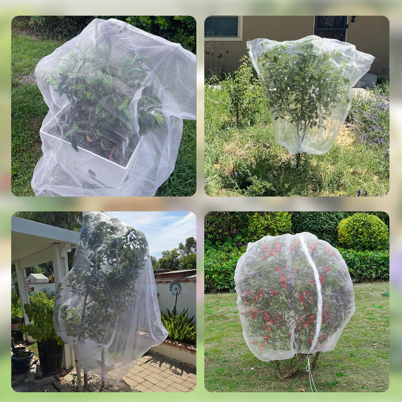 CHNENOMME netting shields fruit while letting air and moisture through.