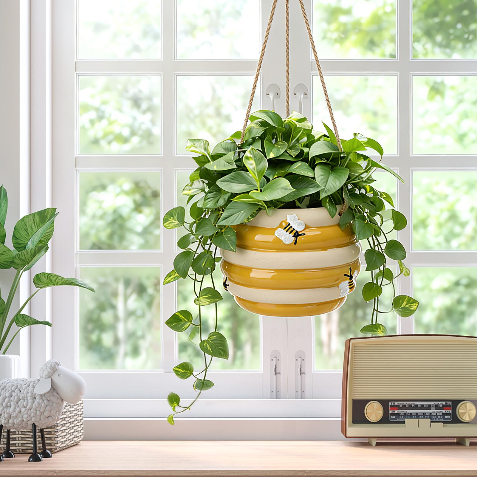 Chonsun planter with drainage hole for excess water exit and root health