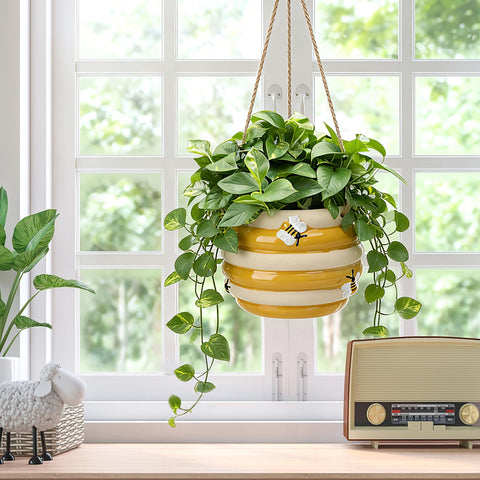 Chonsun planter with drainage hole for excess water exit and root health