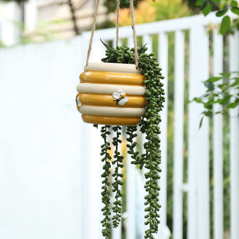 Chonsun gift-ready packaging suits plant lovers