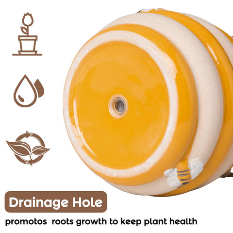 Chonsun 5-inch planter ideal for succulents and small greens