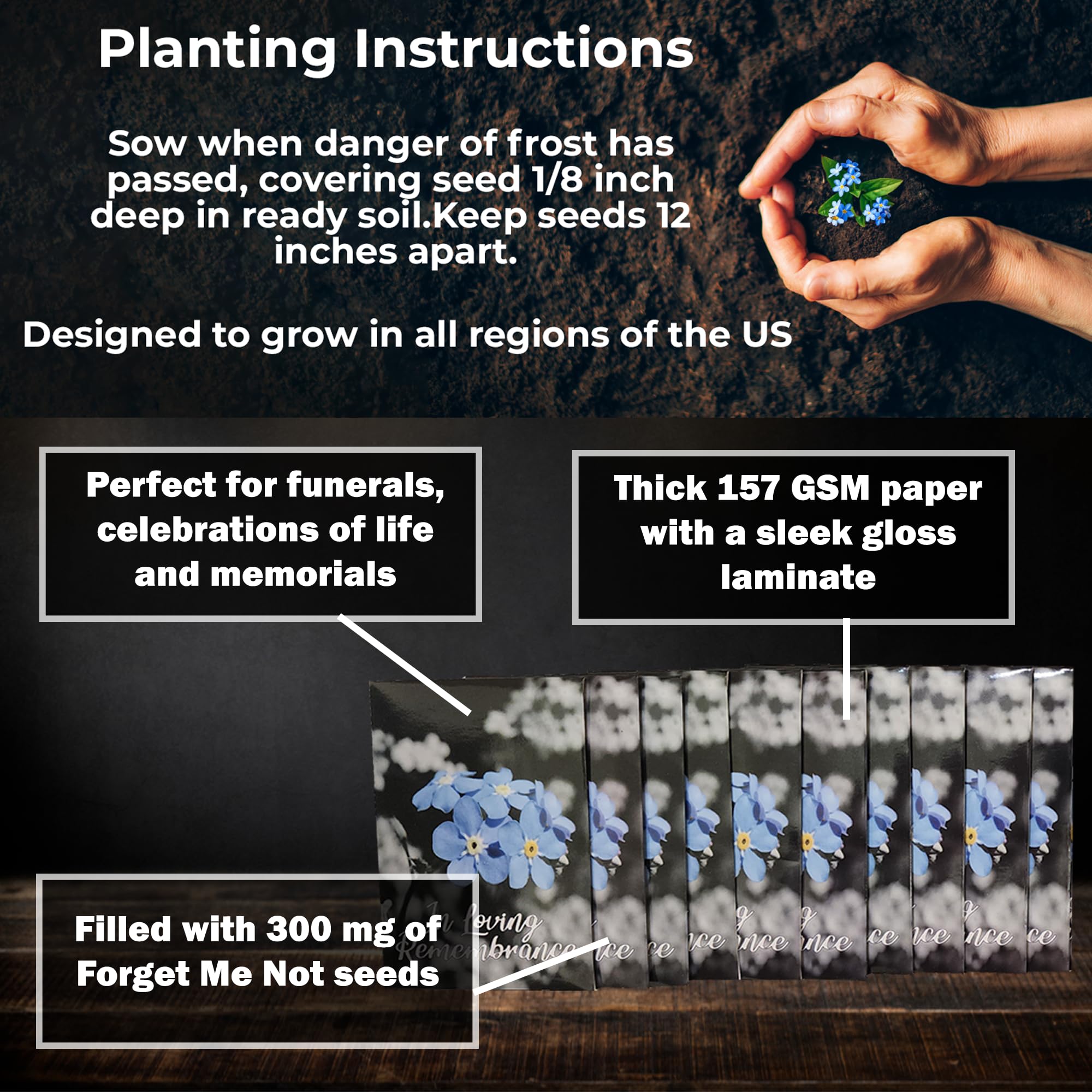 Choobly easy-grow forget-me-not seeds for a simple living remembrance