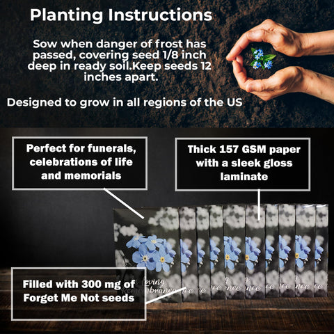 Choobly easy-grow forget-me-not seeds for a simple living remembrance