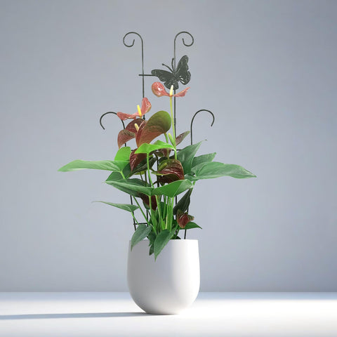 CHOUYUHE no-tools installation allows quick setup by pushing into soil.