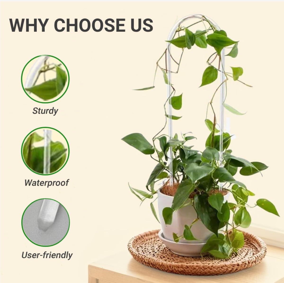 CHOUYUHE tropical-houseplant-stake keeps tropical plants supported without rust or crowding