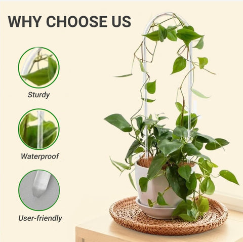CHOUYUHE tropical-houseplant-stake keeps tropical plants supported without rust or crowding