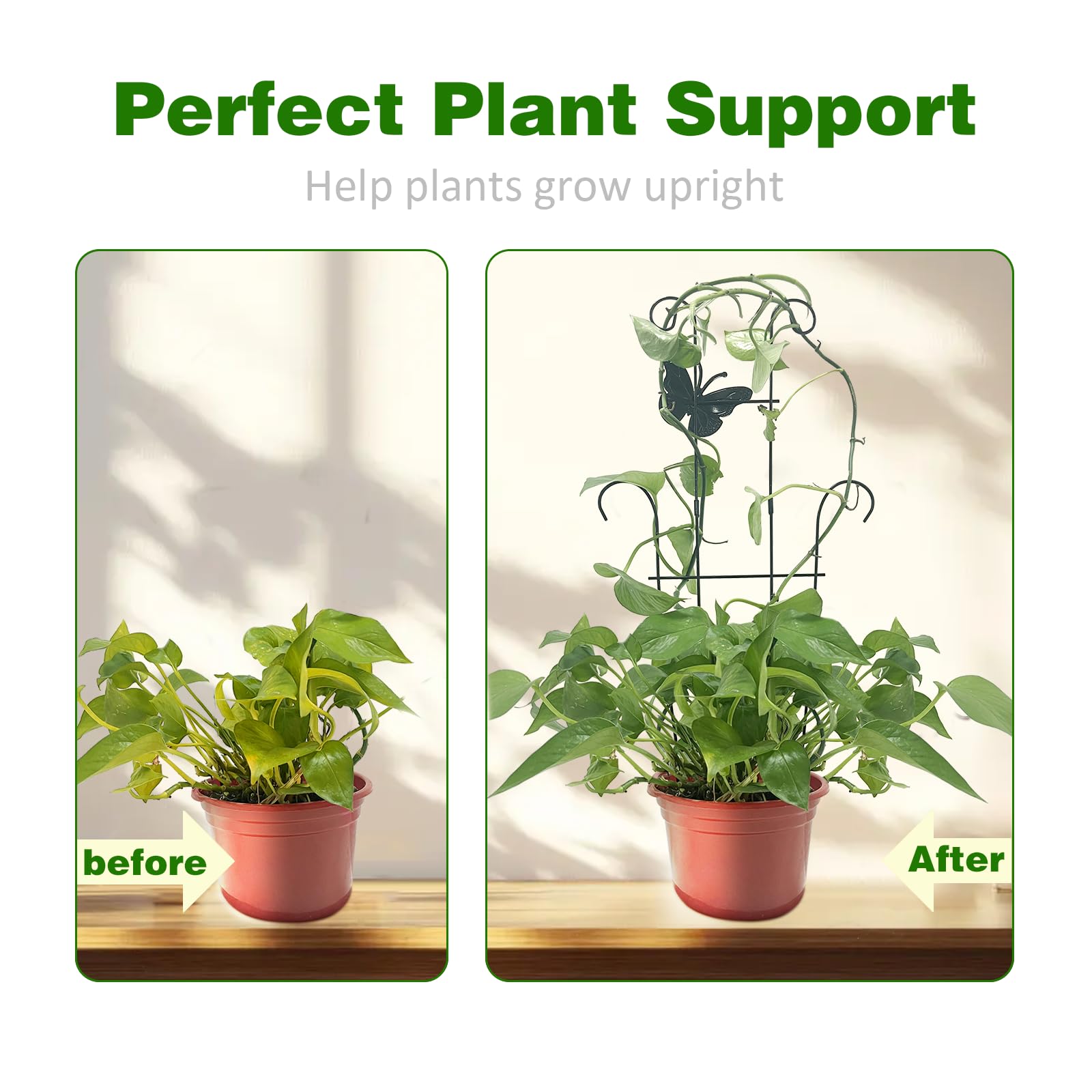 CHOUYUHE two-pack trellises with ties for securing vines on potted plants.